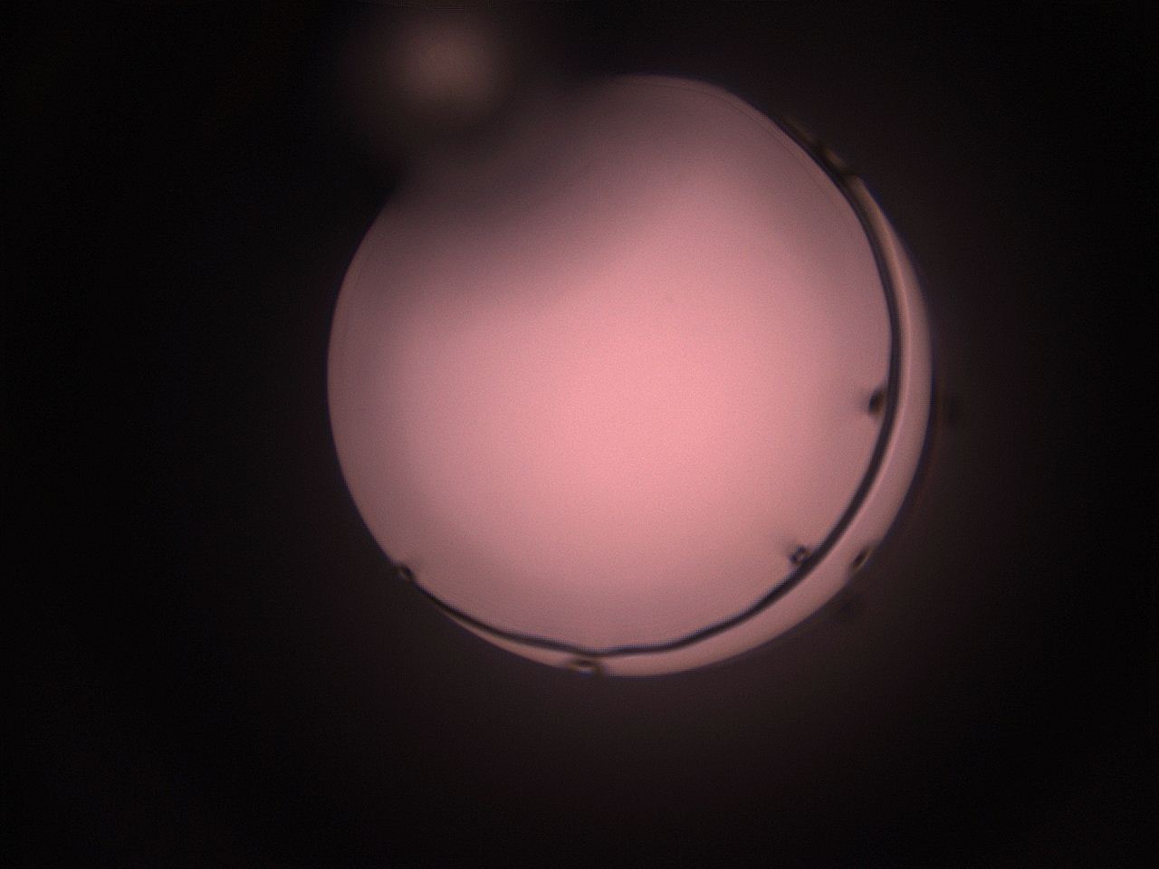 05hy_N10_ImagerDefaults_1.jpg