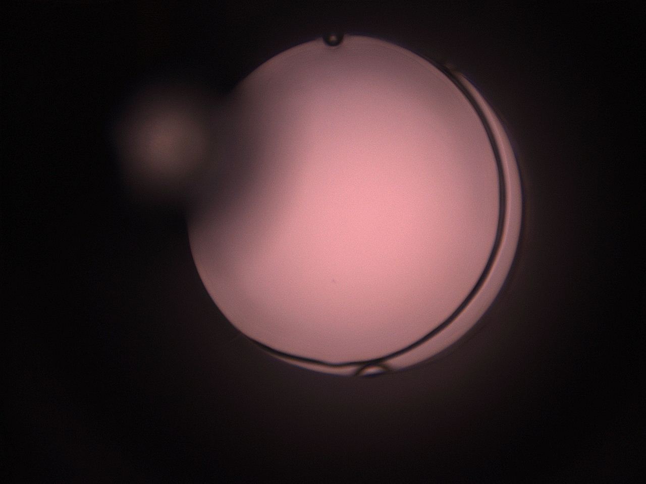 05hy_N11_ImagerDefaults_1.jpg