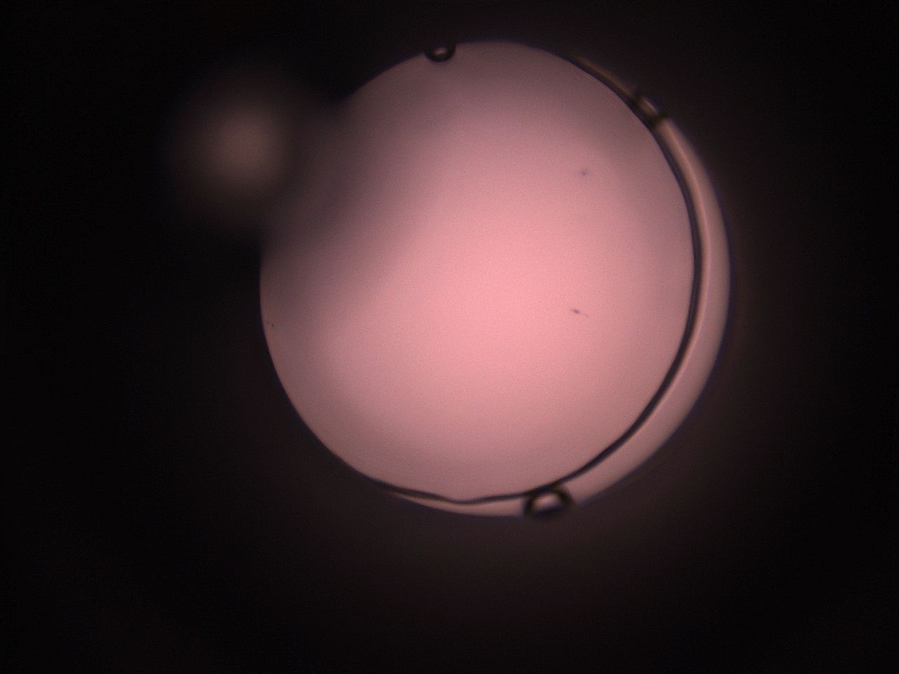 05hy_O10_ImagerDefaults_1.jpg