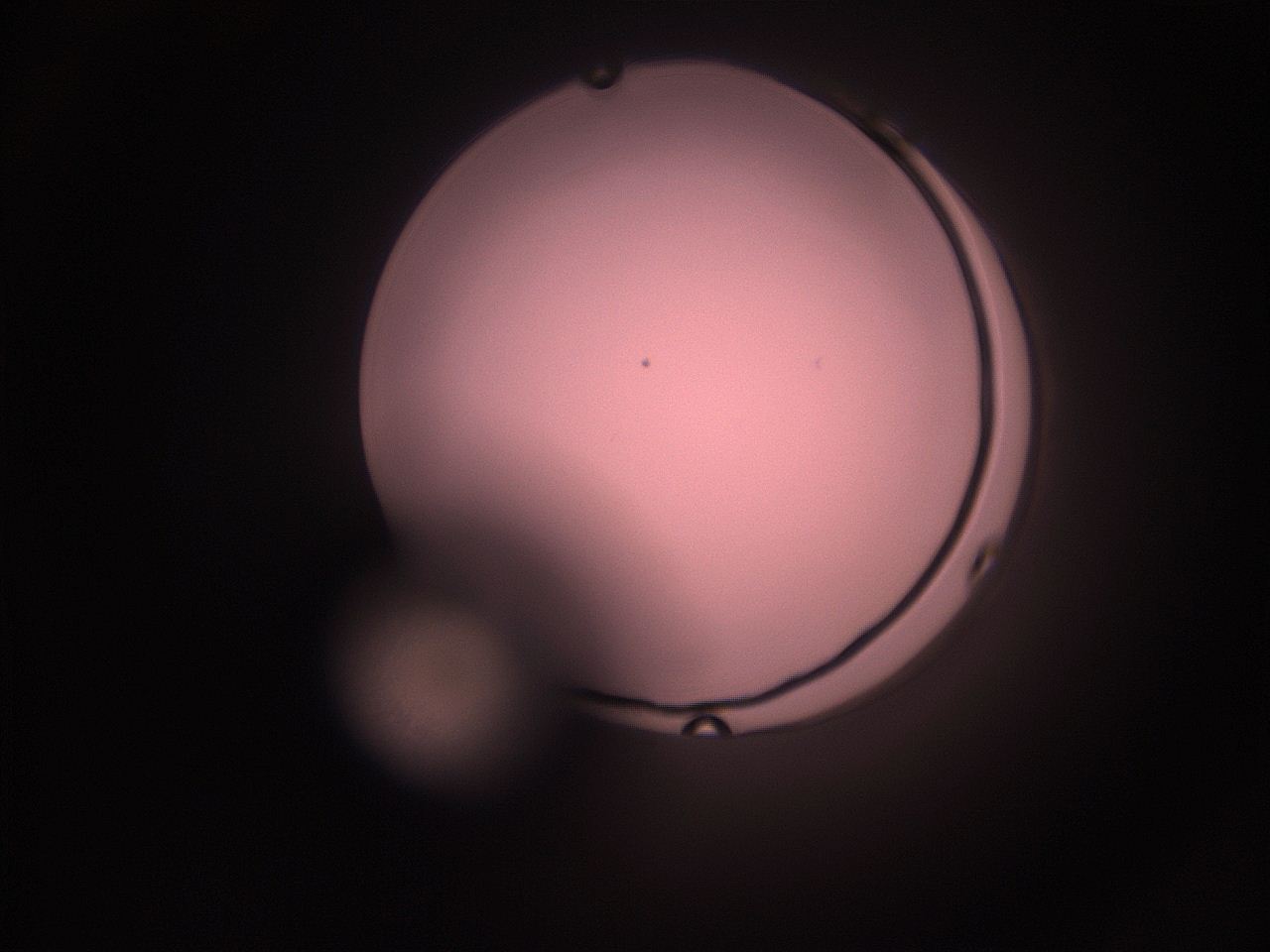 05hy_O11_ImagerDefaults_1.jpg