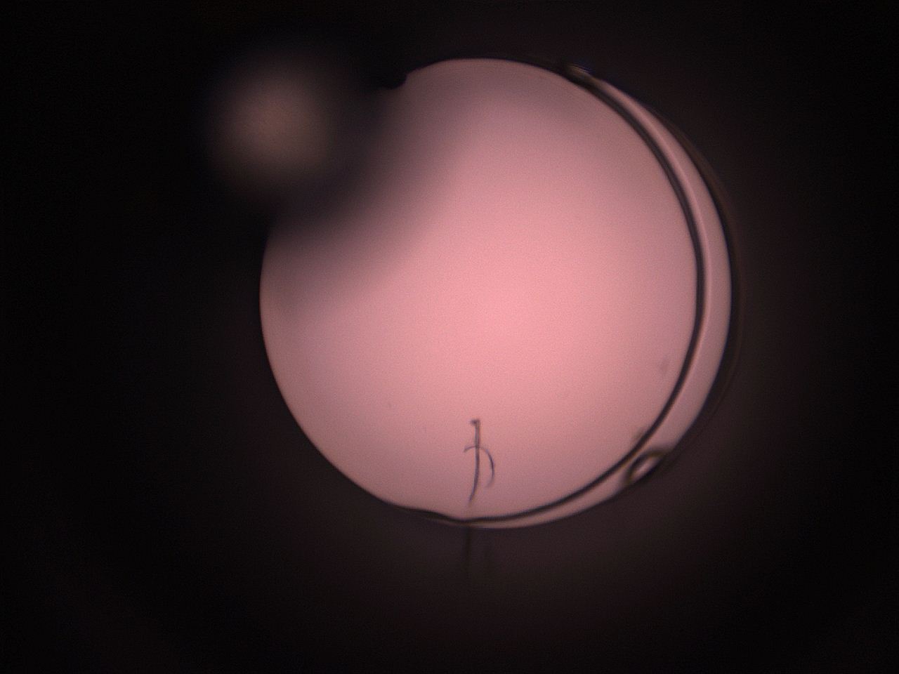 05hy_O14_ImagerDefaults_1.jpg
