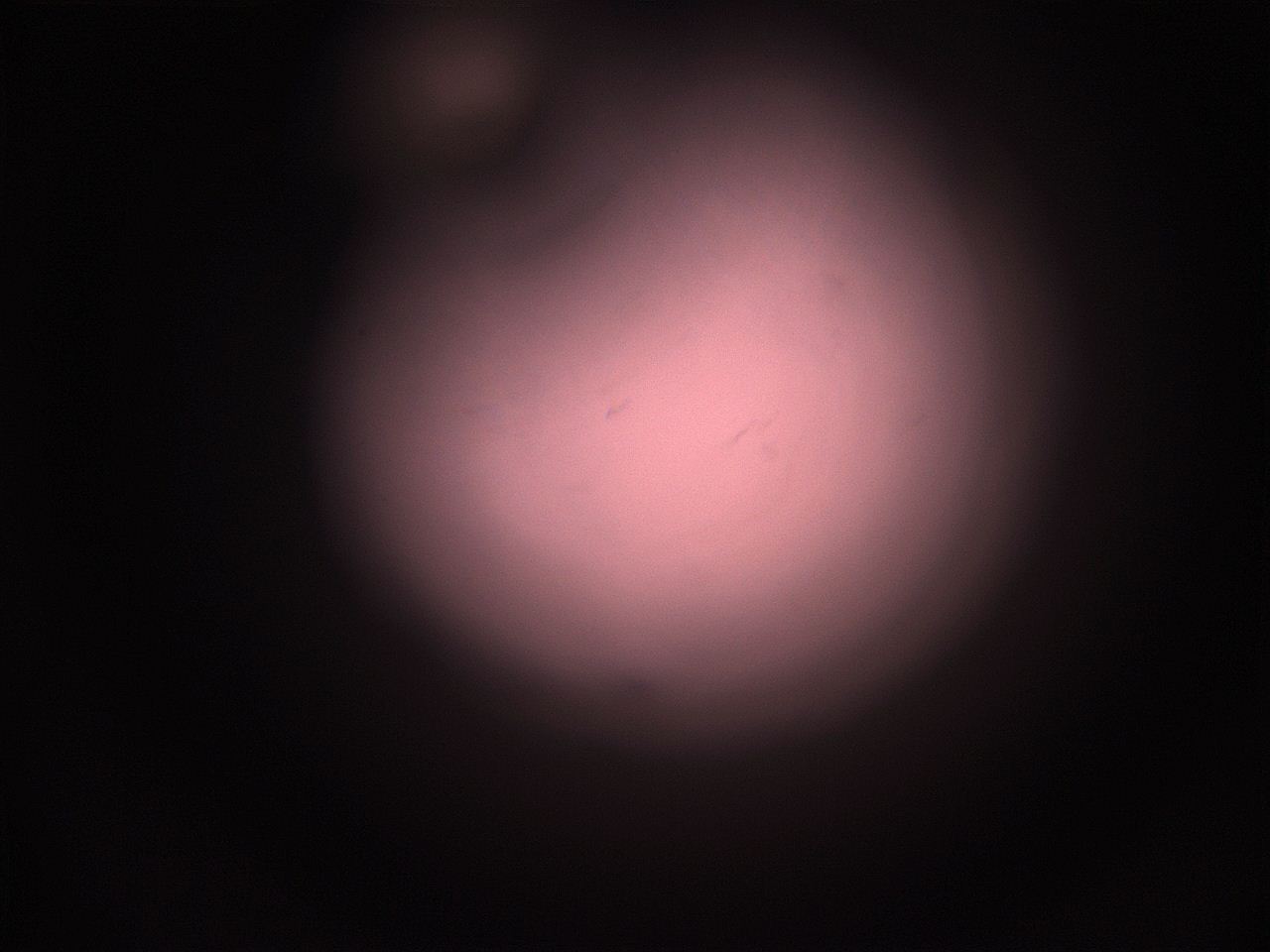 05hy_P5_ImagerDefaults_1.jpg