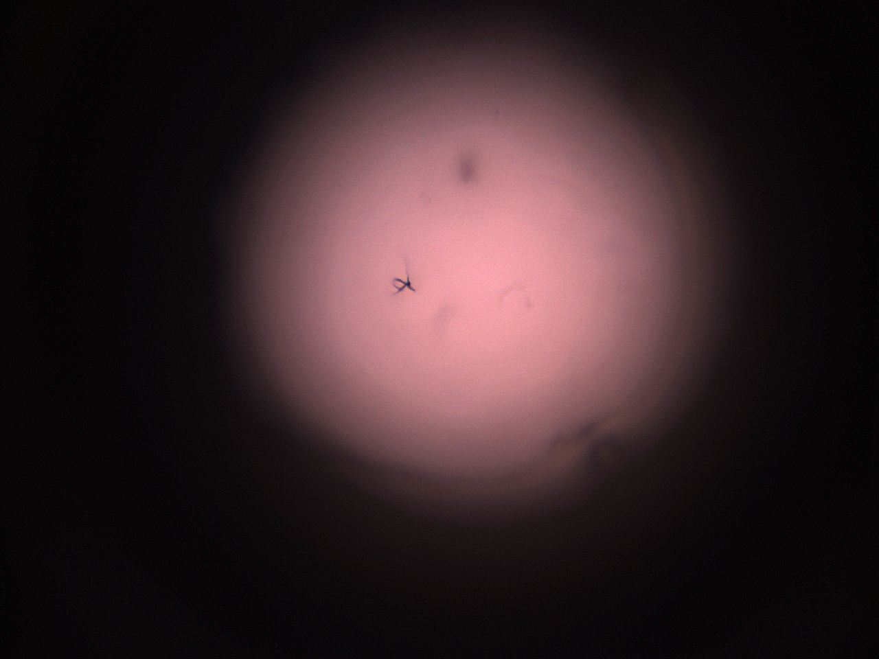05hy_P6_ImagerDefaults_1.jpg