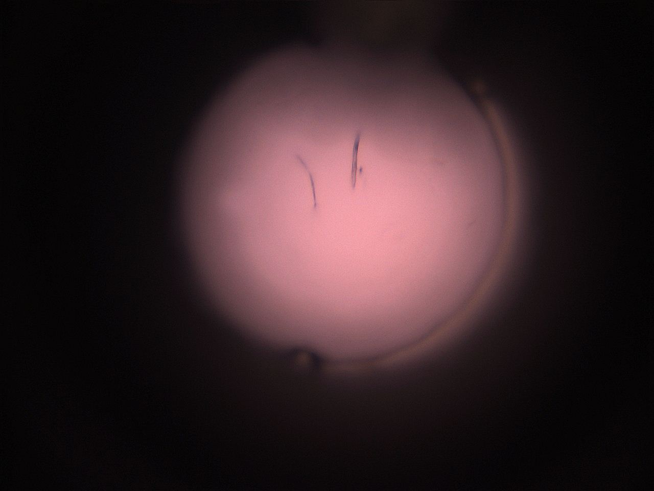 05hy_P8_ImagerDefaults_1.jpg