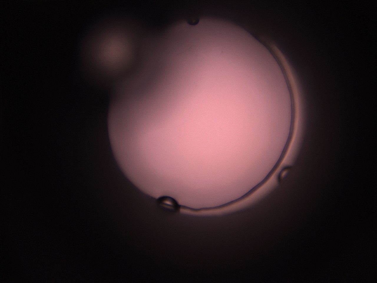 05hy_P10_ImagerDefaults_1.jpg