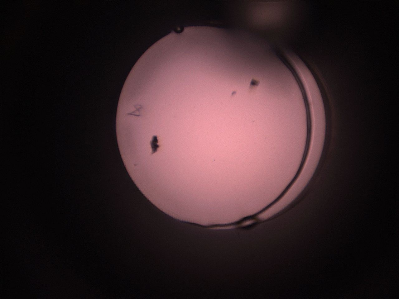 05hy_P13_ImagerDefaults_1.jpg
