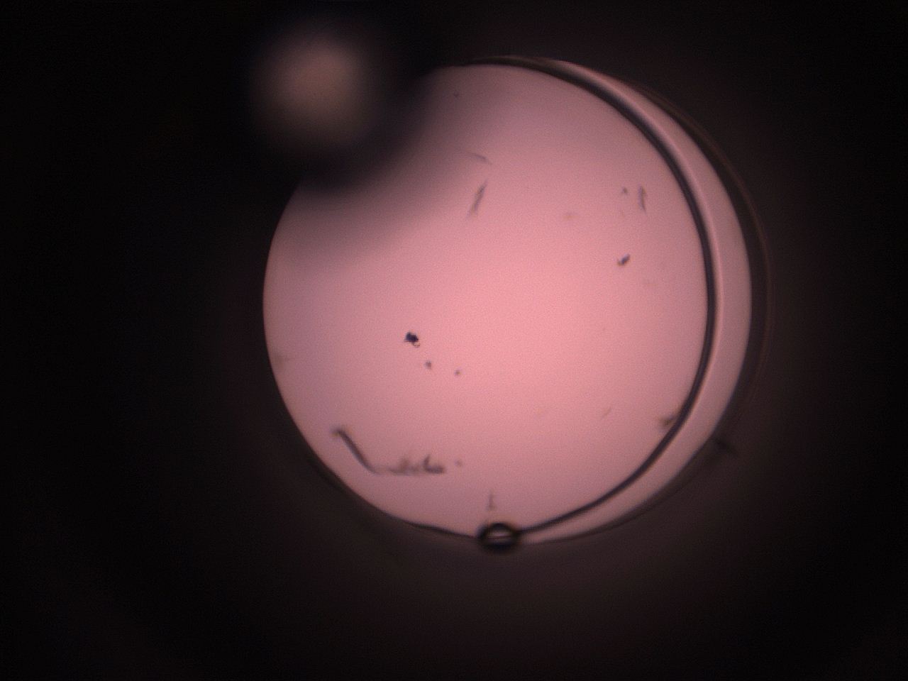 05hy_P17_ImagerDefaults_9.jpg