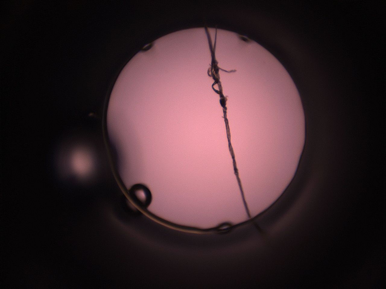 05hz_H10_ImagerDefaults_1.jpg