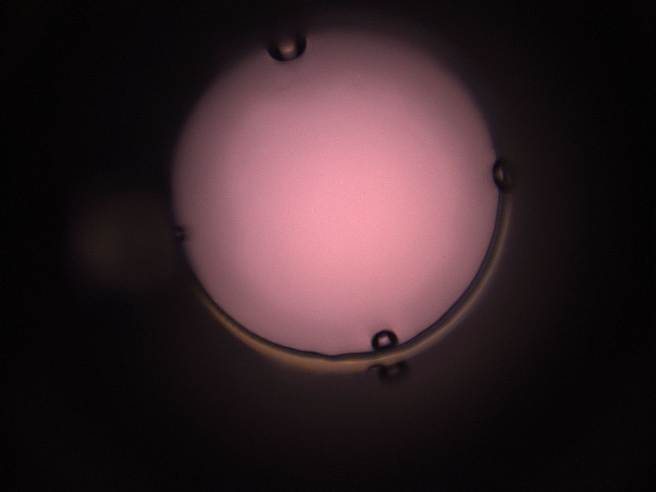 05hz_L4_ImagerDefaults_1.jpg