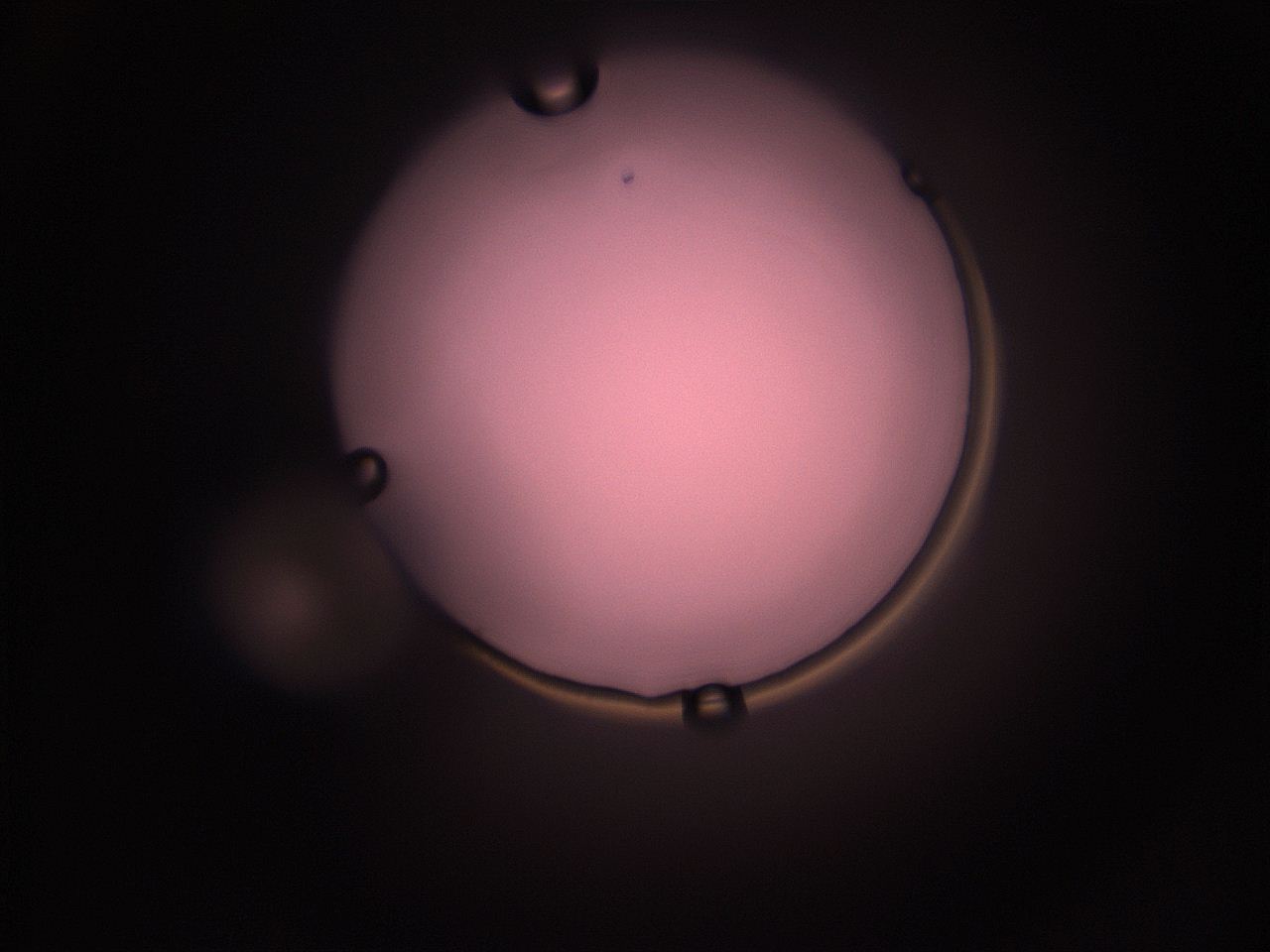 05hz_N7_ImagerDefaults_1.jpg