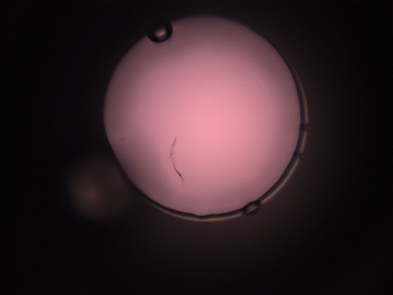 05hz_N8_ImagerDefaults_1.jpg