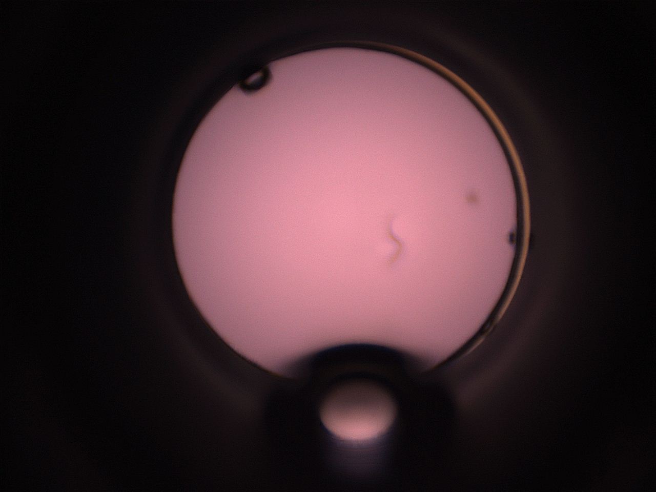 05hz_N19_ImagerDefaults_1.jpg