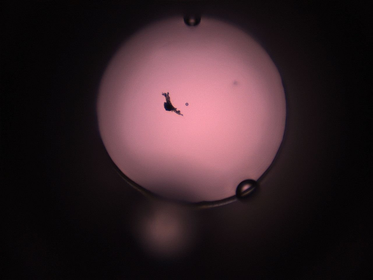 05hz_O9_ImagerDefaults_1.jpg
