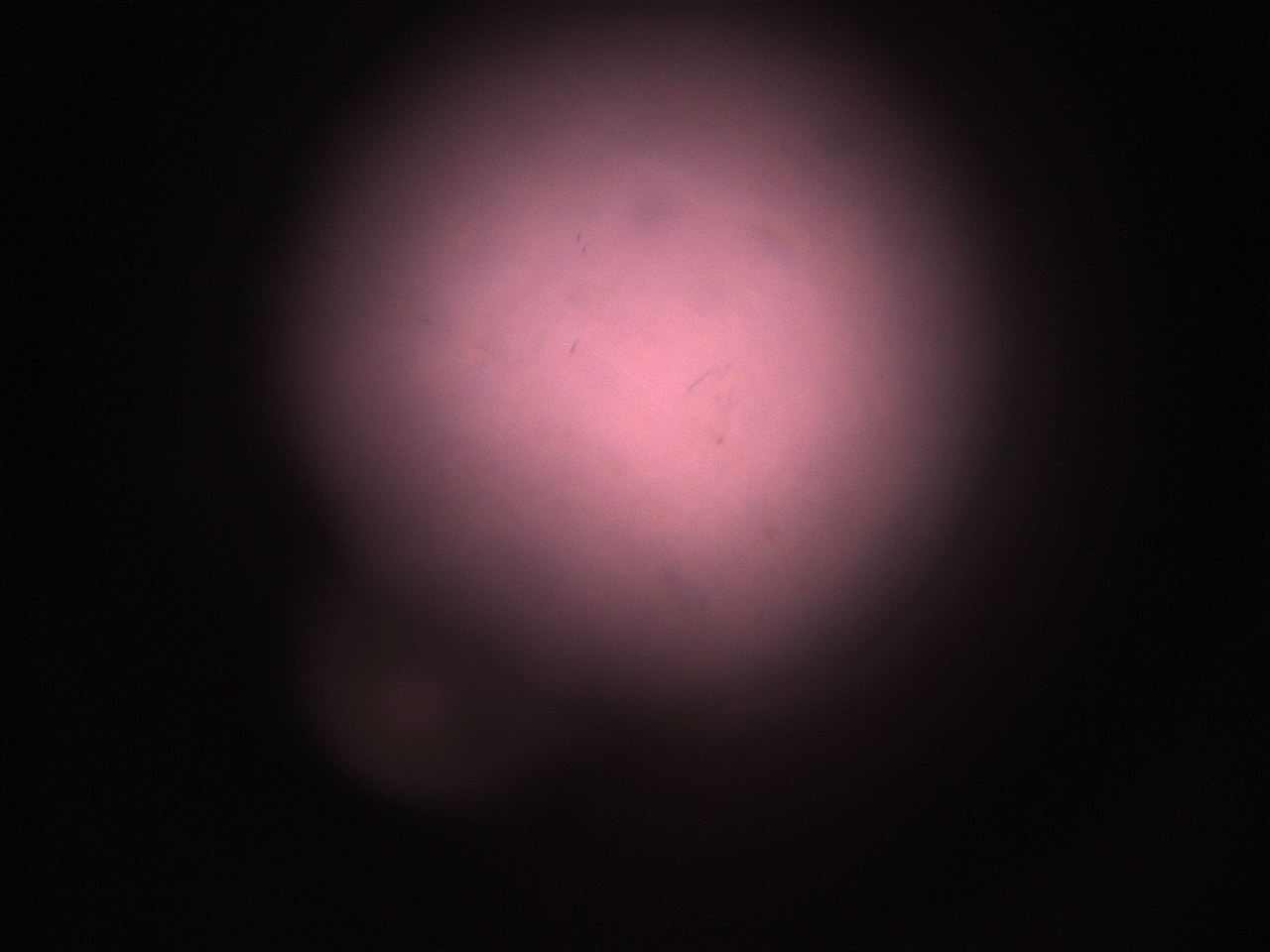 05hz_P1_ImagerDefaults_1.jpg