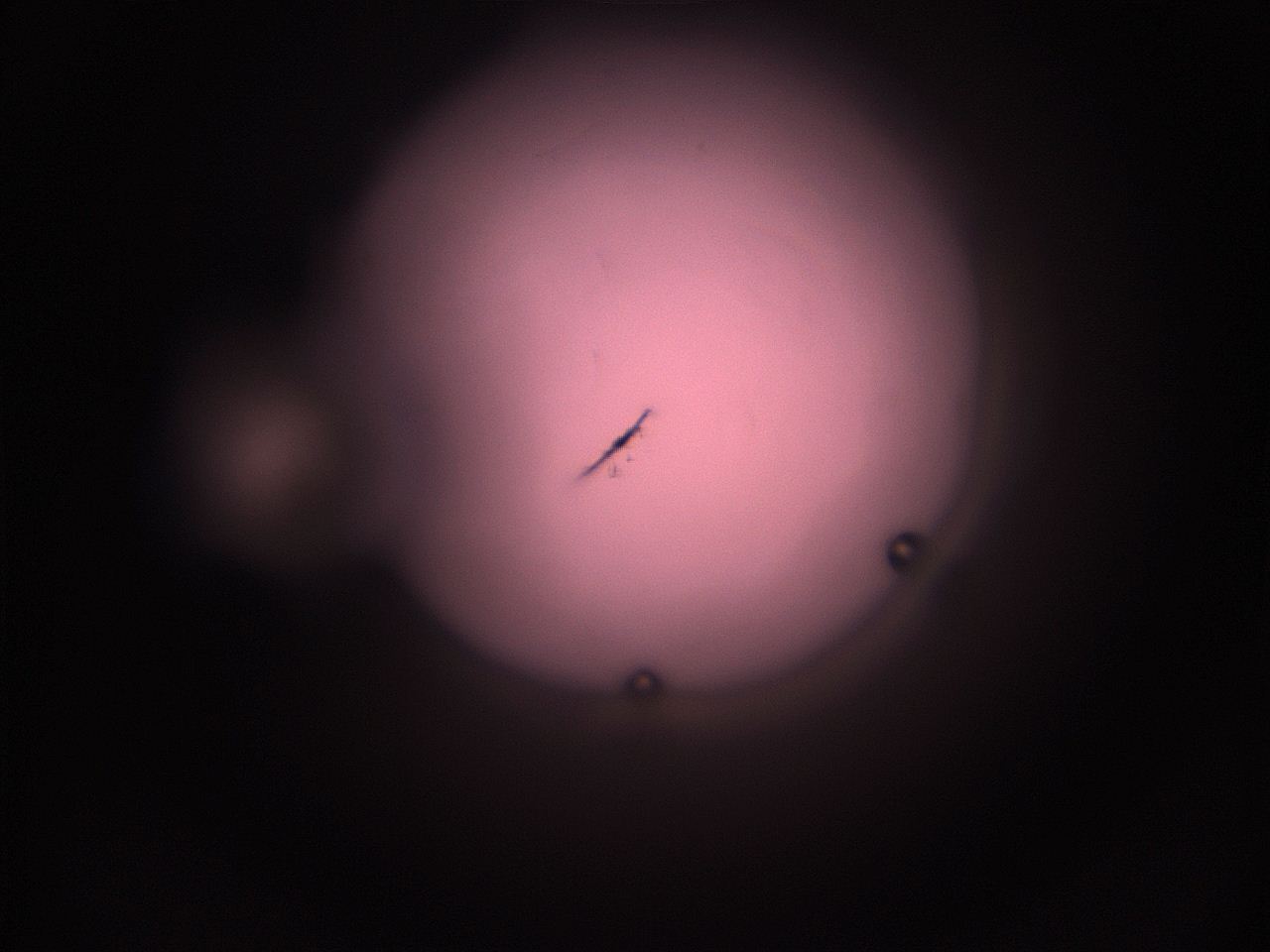 05hz_P6_ImagerDefaults_1.jpg
