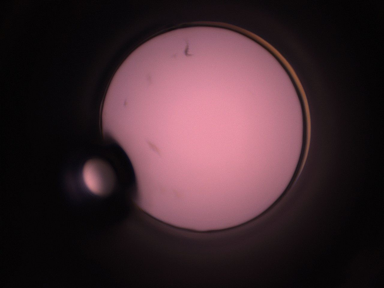 05hz_P19_ImagerDefaults_1.jpg