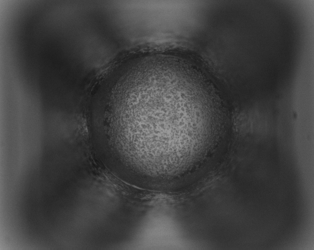 X0000044891109200501191512.png