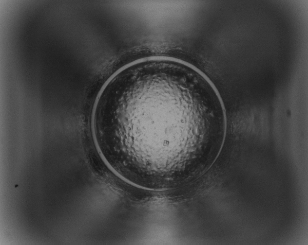 X0000044910639200501191614.png