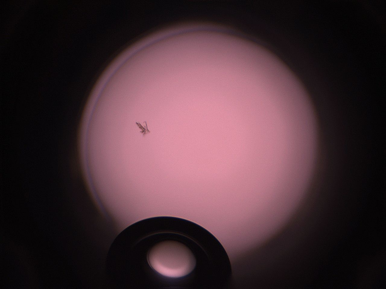 05i0_A14_ImagerDefaults_1.jpg