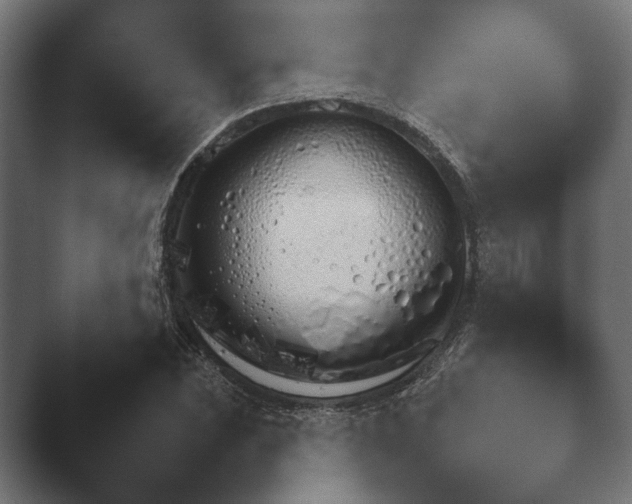 X0000047621023200503181134.png