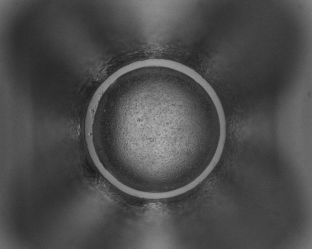 X0000048670660200504140940.png