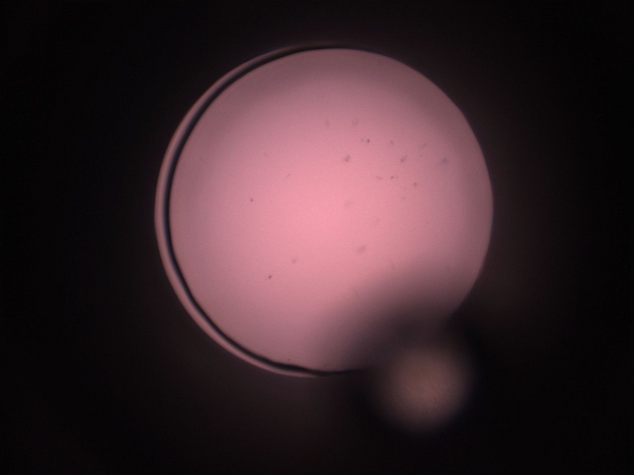 05i0_K9_ImagerDefaults_1.jpg