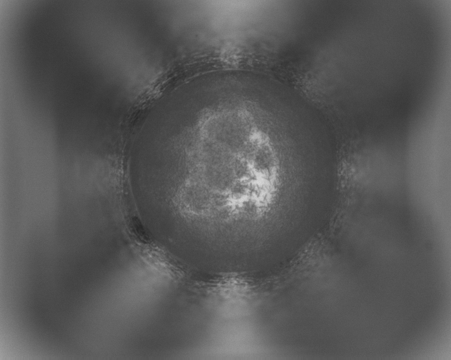 X0000048770656200505051436.png