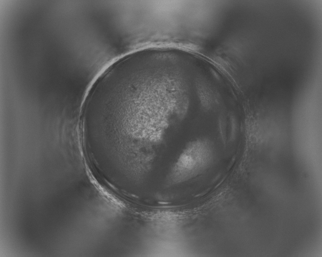X0000048781100200505051455.png