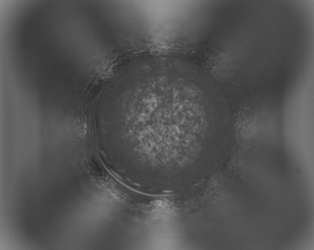 X0000048780660200505051503.png