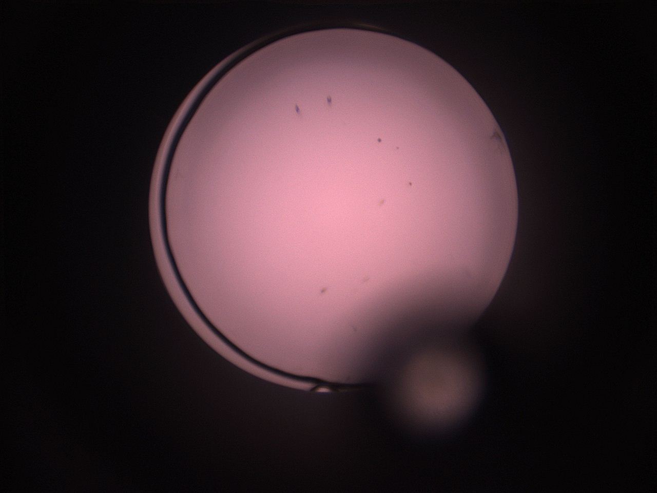05i0_L3_ImagerDefaults_1.jpg
