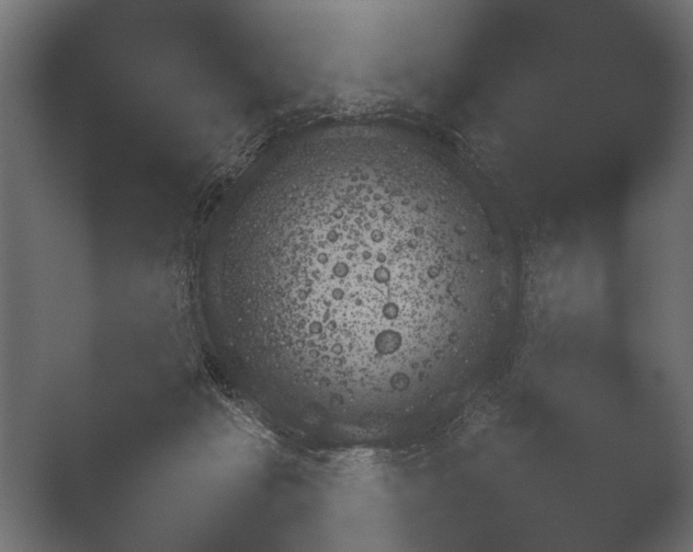 X0000049030269200505111643.png