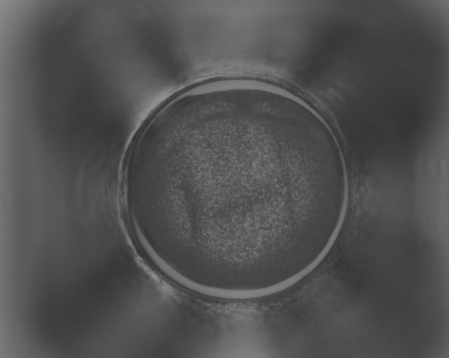 X0000049361103200506092134.png