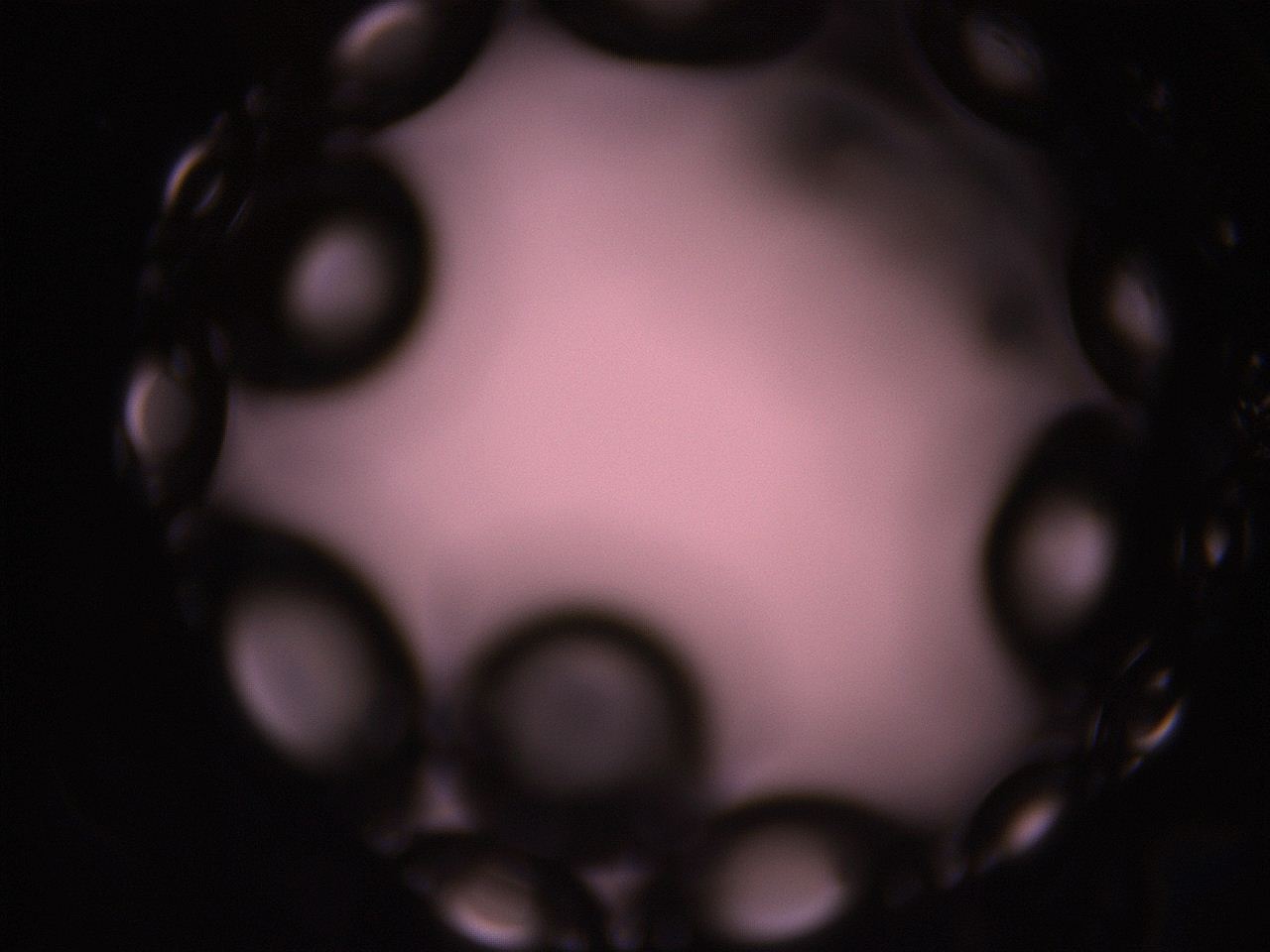 05i0_M20_ImagerDefaults_1.jpg