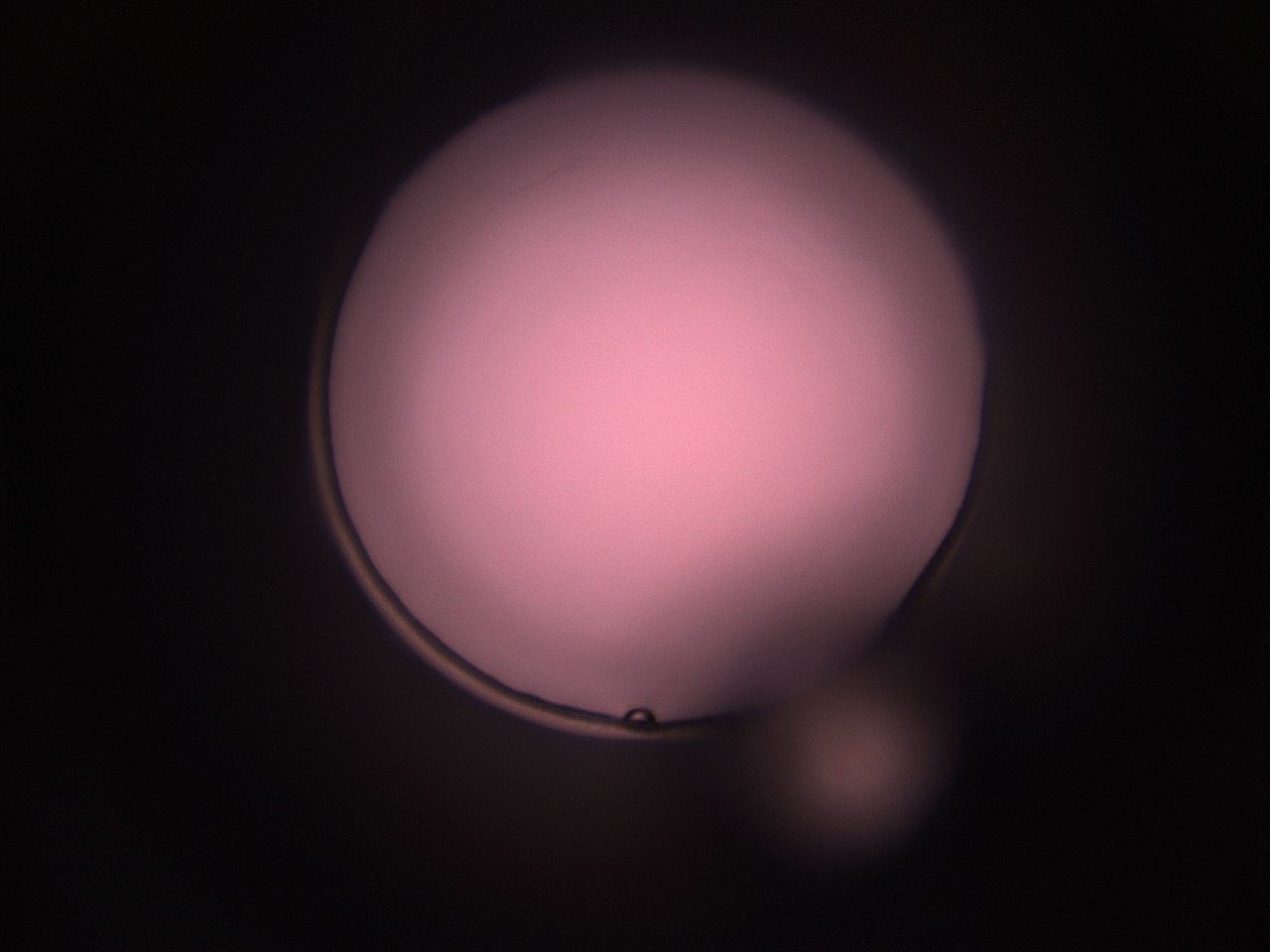 05i0_N6_ImagerDefaults_1.jpg