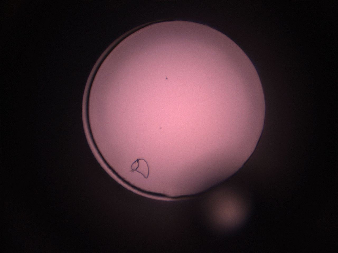 05i0_N9_ImagerDefaults_1.jpg