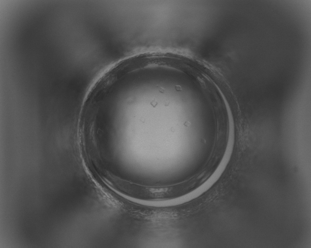 X0000049461183200506141538.png