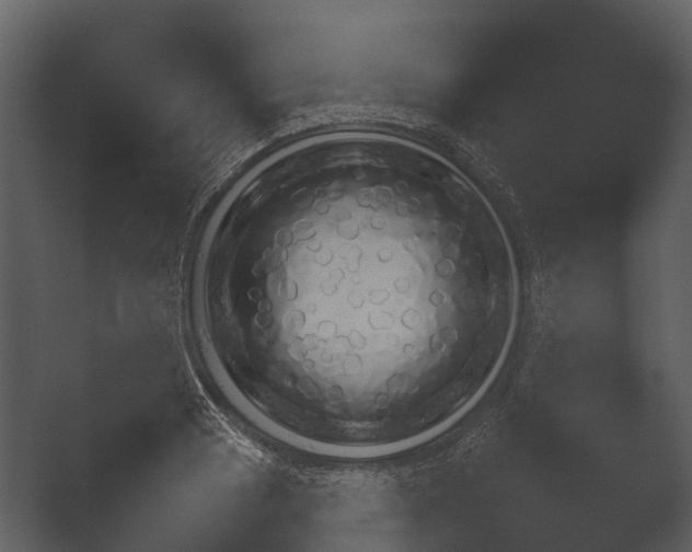 X0000049461033200506141541.png