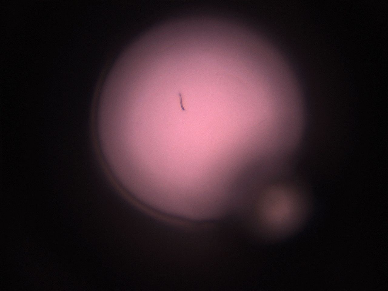 05i0_P6_ImagerDefaults_1.jpg