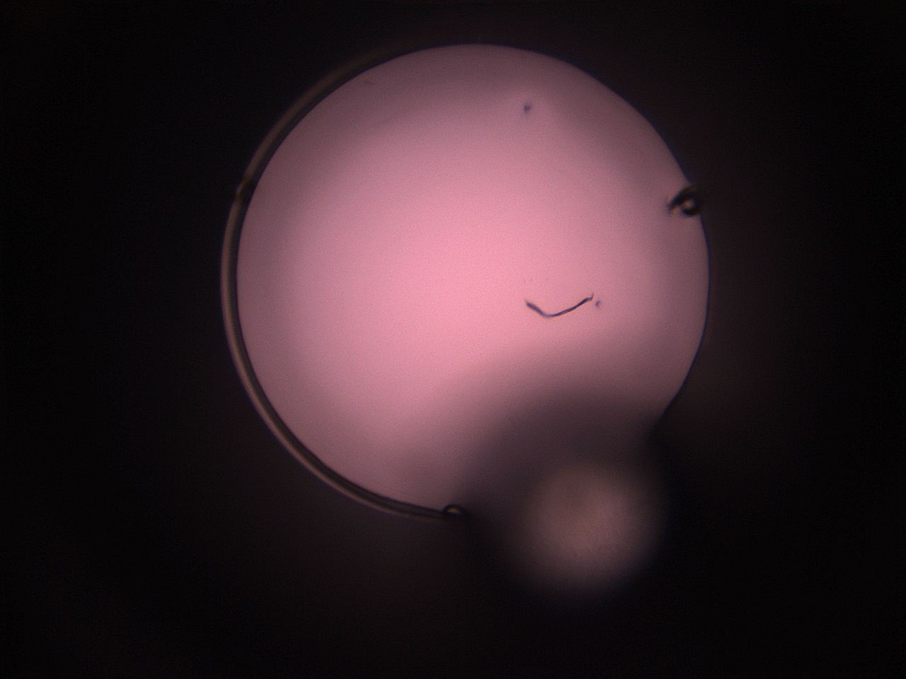 05i0_P8_ImagerDefaults_1.jpg