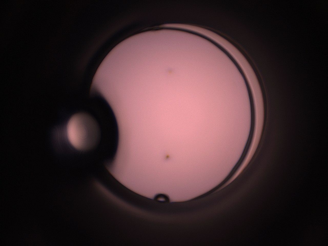 05i1_D5_ImagerDefaults_1.jpg