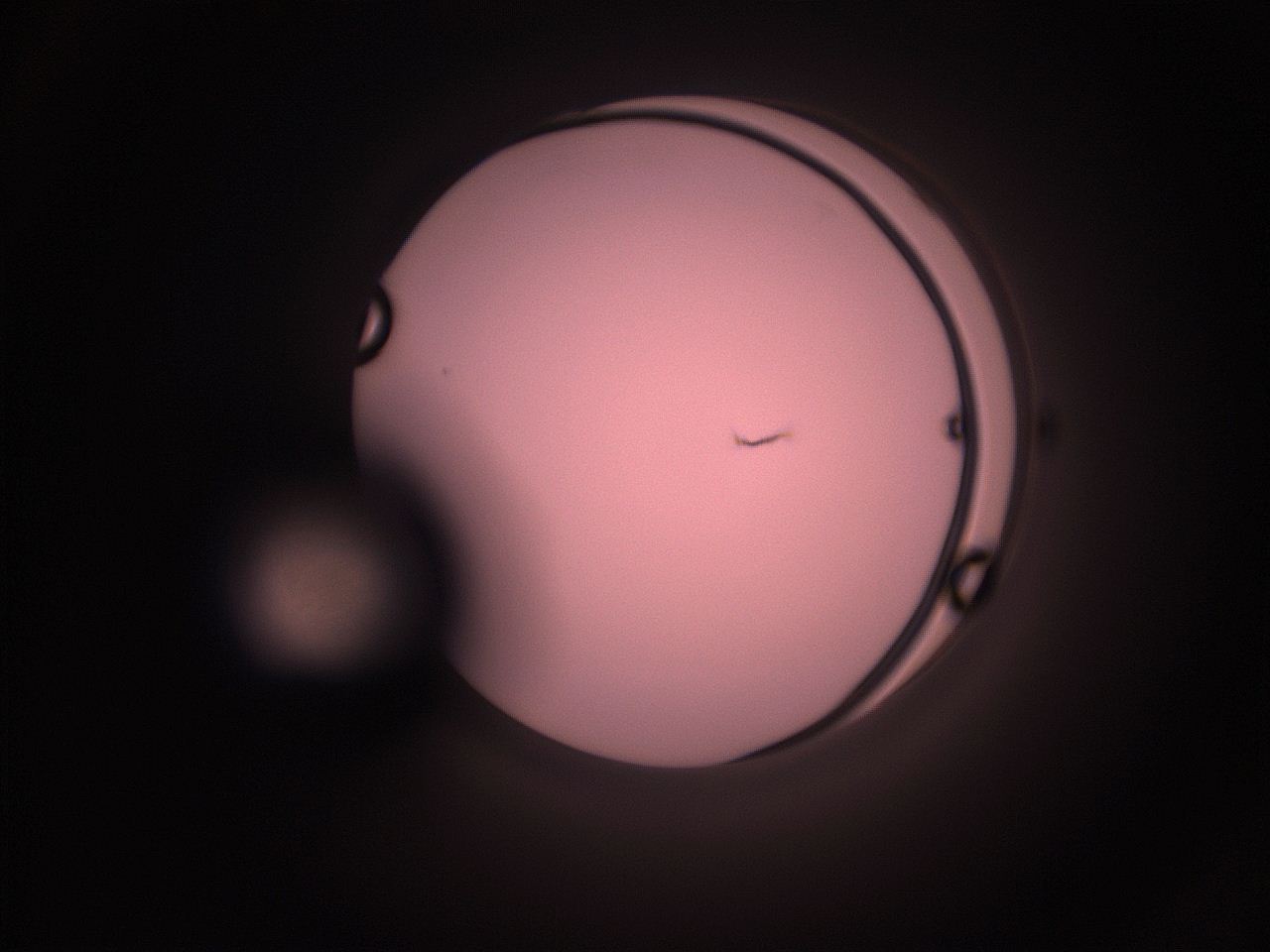 05i1_F6_ImagerDefaults_1.jpg