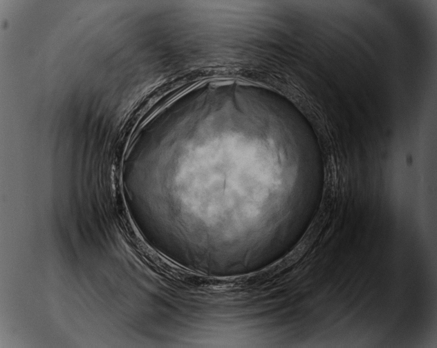 X0000051290692200507152335.png