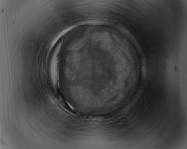 X0000051300484200507160004.png