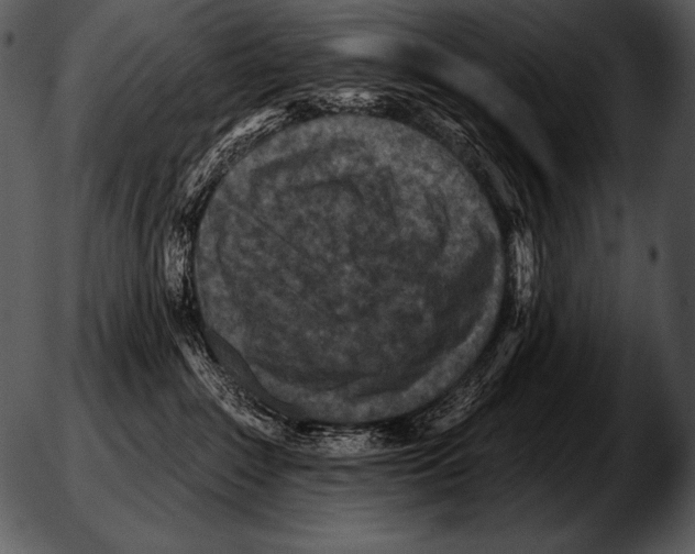 X0000051310235200507160035.png