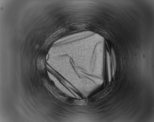 X0000051330131200507160129.png