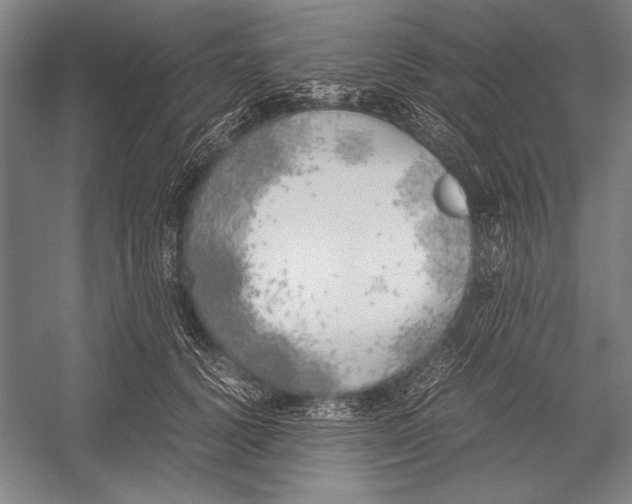 X0000051800656200507221620.png