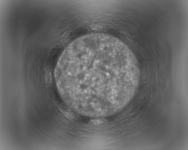 X0000051800703200507221619.png