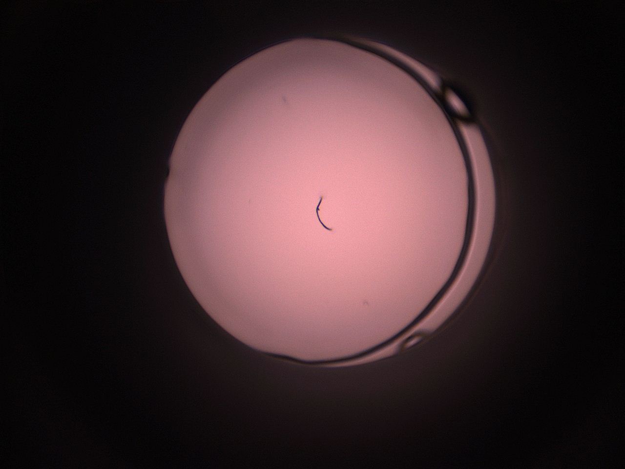 05i1_K9_ImagerDefaults_1.jpg
