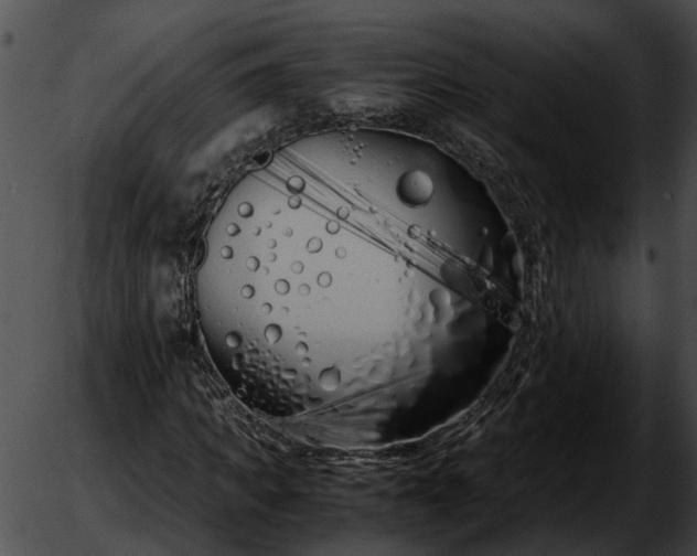 X0000051850917200507012311.png
