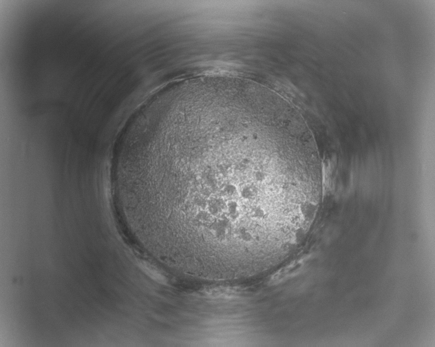 X0000053340291200507201303.png
